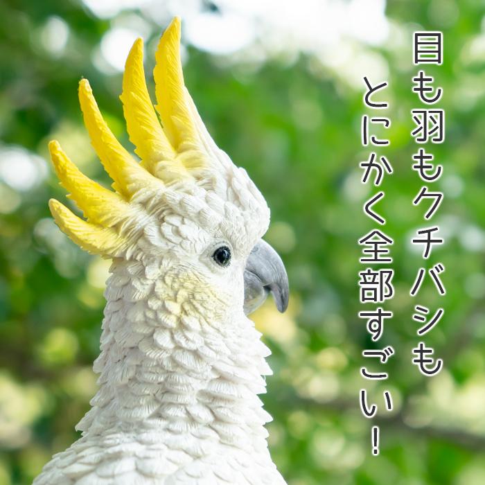 オウム 置物 ガーデニング 雑貨 ガーデン オーナメント オブジェ