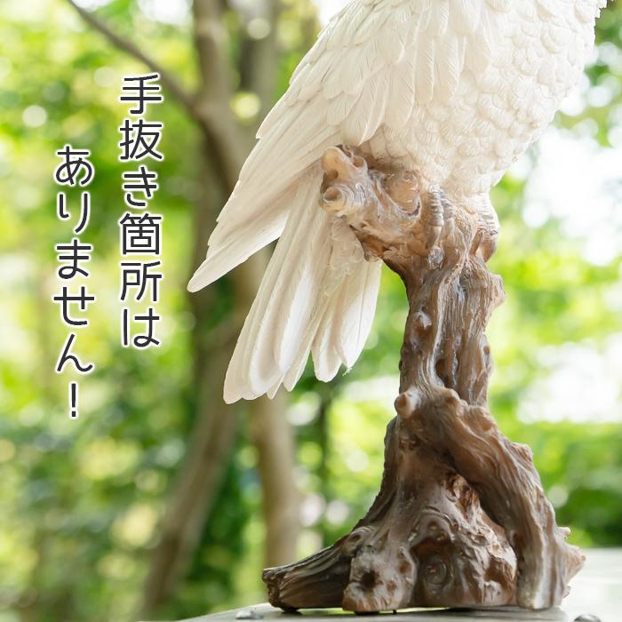 オウム 置物 ガーデニング 雑貨 ガーデン オーナメント オブジェ