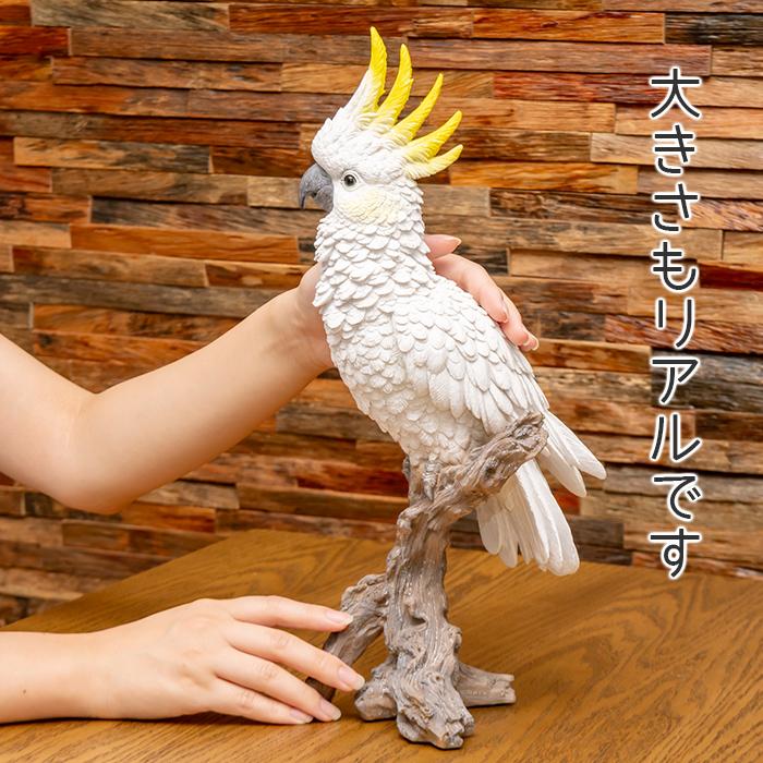 オウム 置物 ガーデニング 雑貨 ガーデン オーナメント オブジェ