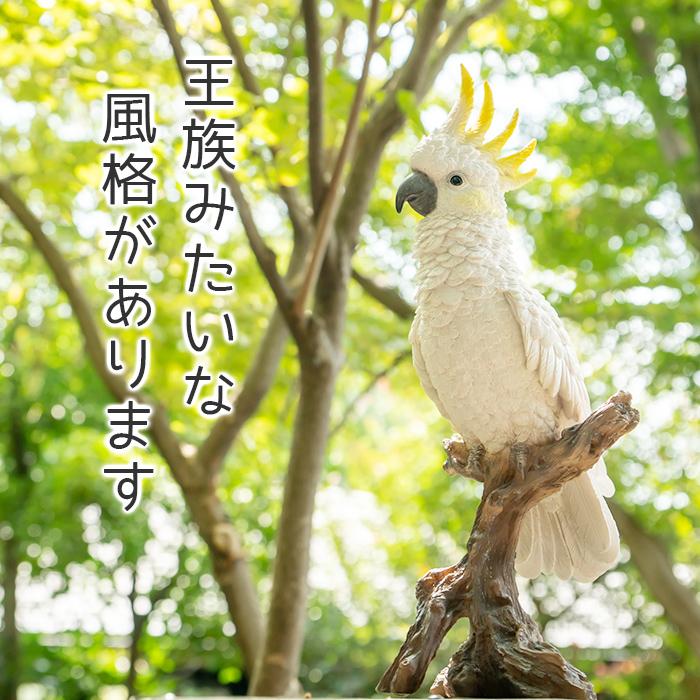 オウム 置物 ガーデニング 雑貨 ガーデン オーナメント オブジェ