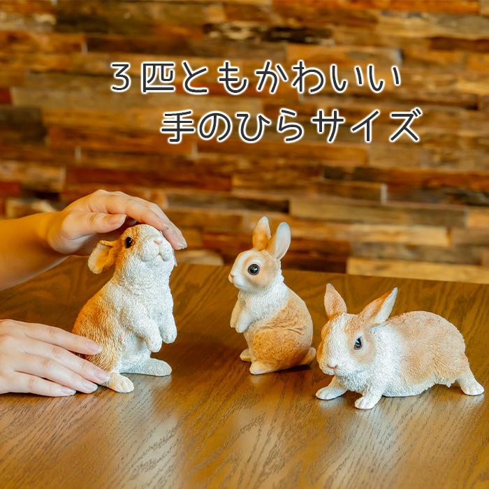 3匹セット うさぎ 置物 ガーデニング 雑貨 ガーデン オーナメント