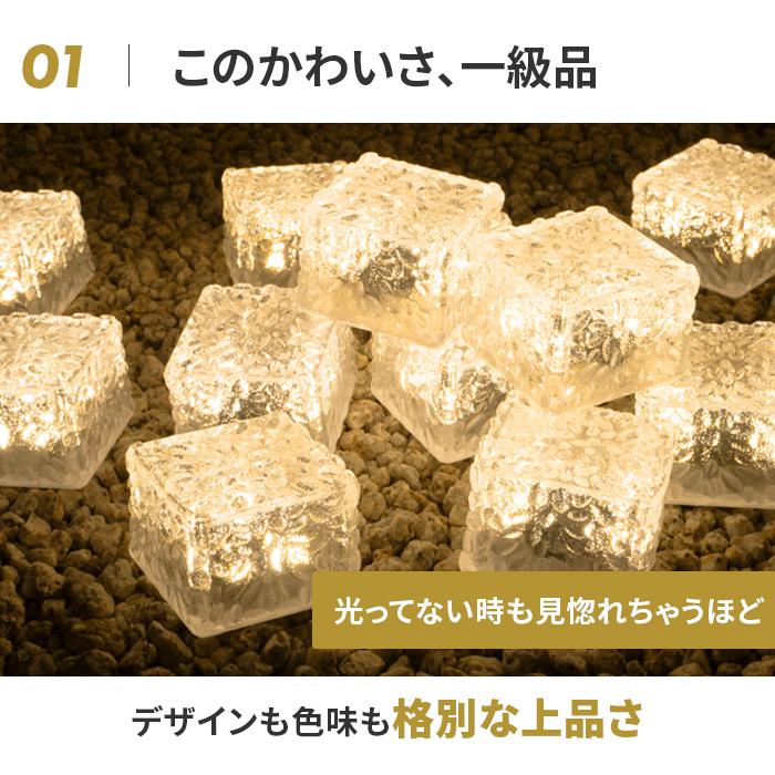 シェルツリーライト・　❤︎ ナチュラル　❤︎ M .L シェルツリーライト・ ❤︎ ナチュラル ❤︎ M .L