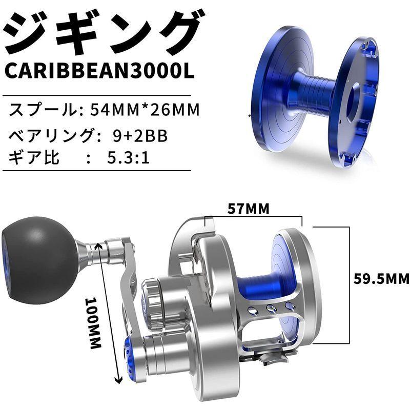 ワタチャンプ Watachamp ジギング専用ベイトリール 大物用 レバードラグリール パワーハンドル 全身ステンレス製 ギア比5 3 1 Minimilks Com