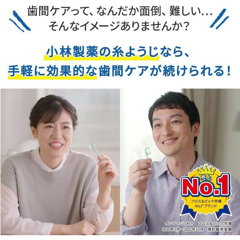 21春夏新作 小林製薬 糸ようじ本卓上容器入 フロスamp ピック デンタルフロス Rmladv Com Br