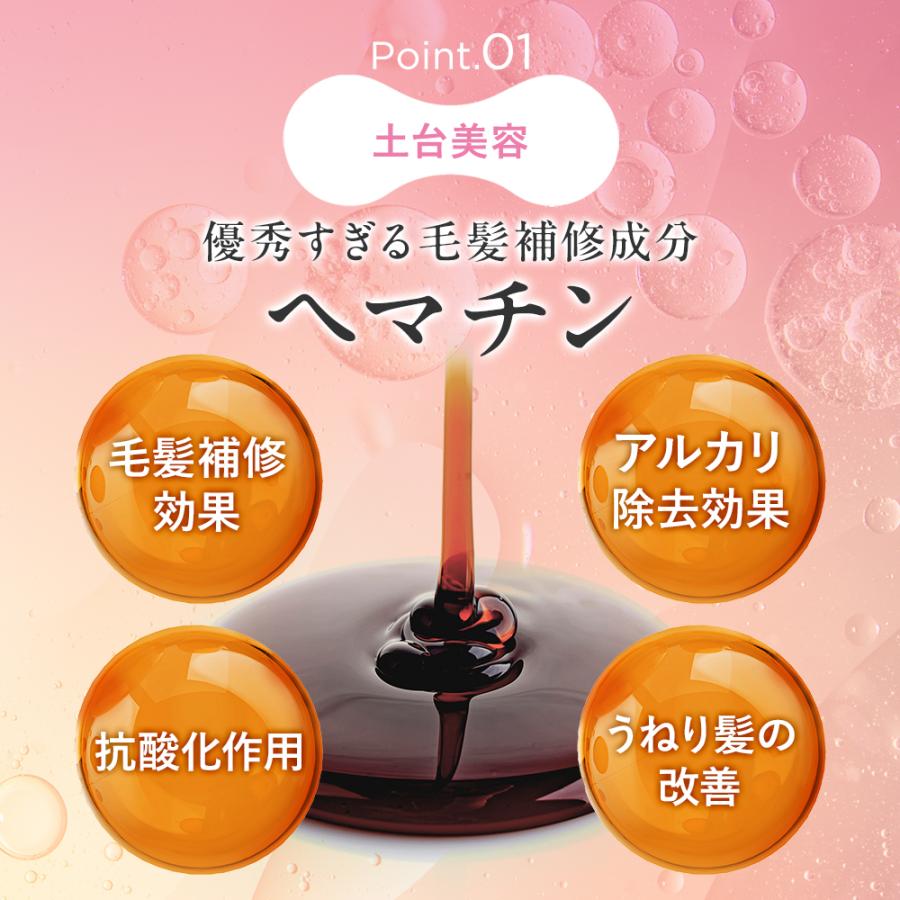 シャント詰替セット シャント詰替セット