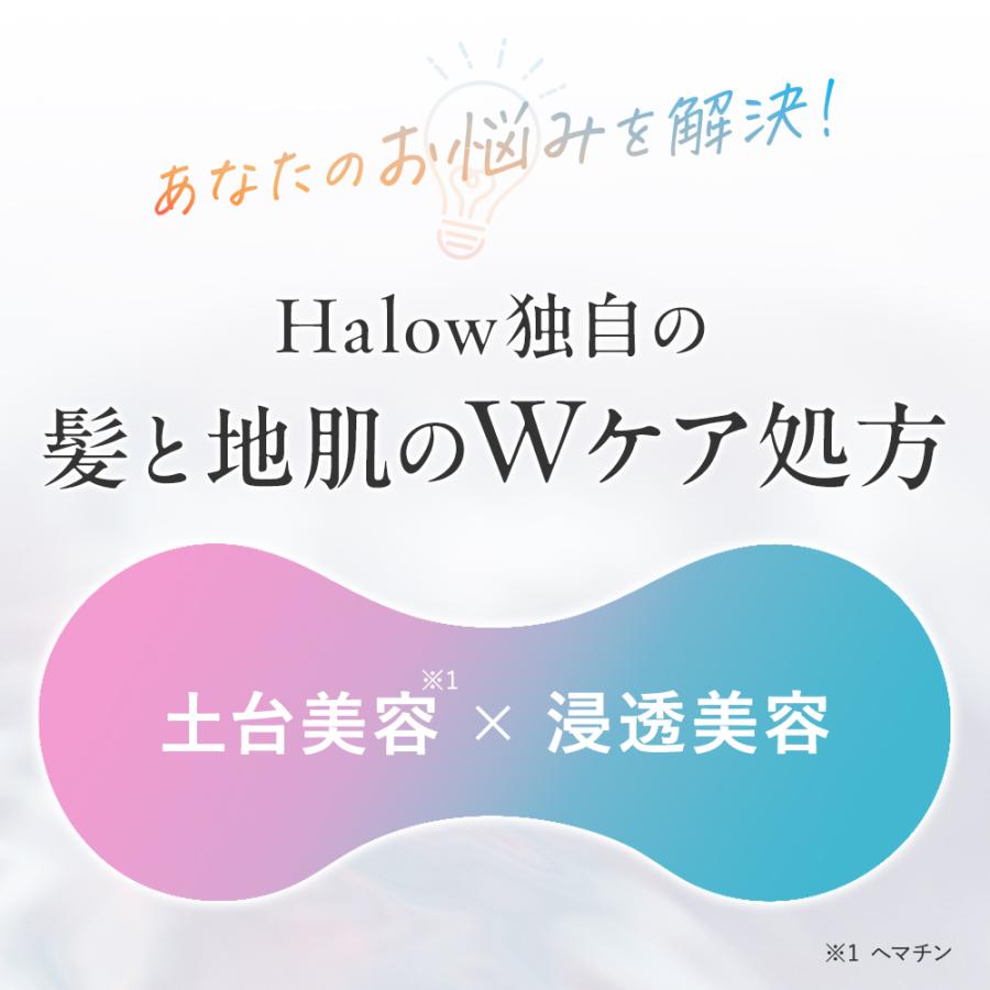 【シャントリセット】新発売 Halow モイストシャンプー 450ml × モイストトリートメント 440g ヘマチン ヒアロベール 髪改善 頭皮のエイジングケア｜happy-mommy-story｜07