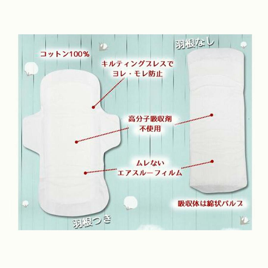 NaturaMoon ナチュラムーン 生理用ナプキン 普通の日用・羽なし(21.0cm