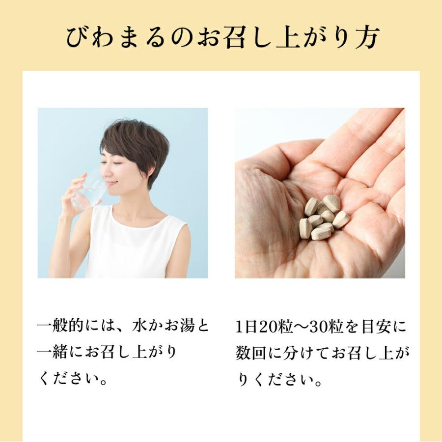びわまる2個セット びわの種タブレット 枇杷の種タブレット 1000粒 2個