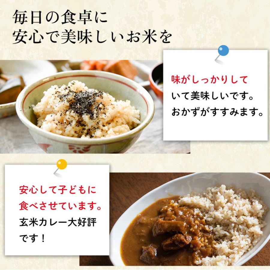朝日玄米5kg×2袋 おかやま自然栽培 木村秋則 式 自然栽培 あさひ 10kg
