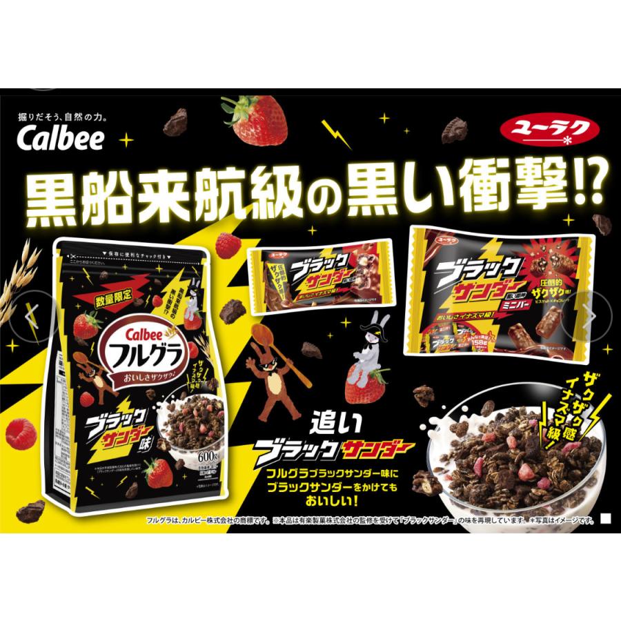 カルビー フルーツグラノーラ フルグラ ブラックサンダー味 600g 2袋セット［数量限定］｜happy-pandashop｜04