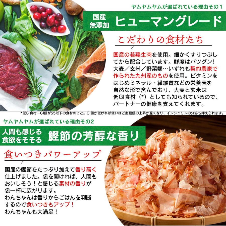 愛犬の食欲でお悩みの方へおすすめ ヤムヤムヤム ドッグフード チキン かつお 馬肉 500g 2kg 無添加 国産 小粒 おすすめ 小型犬 成犬 シニア 全年齢 全犬種 975 ハッピーペット 通販 Yahoo ショッピング