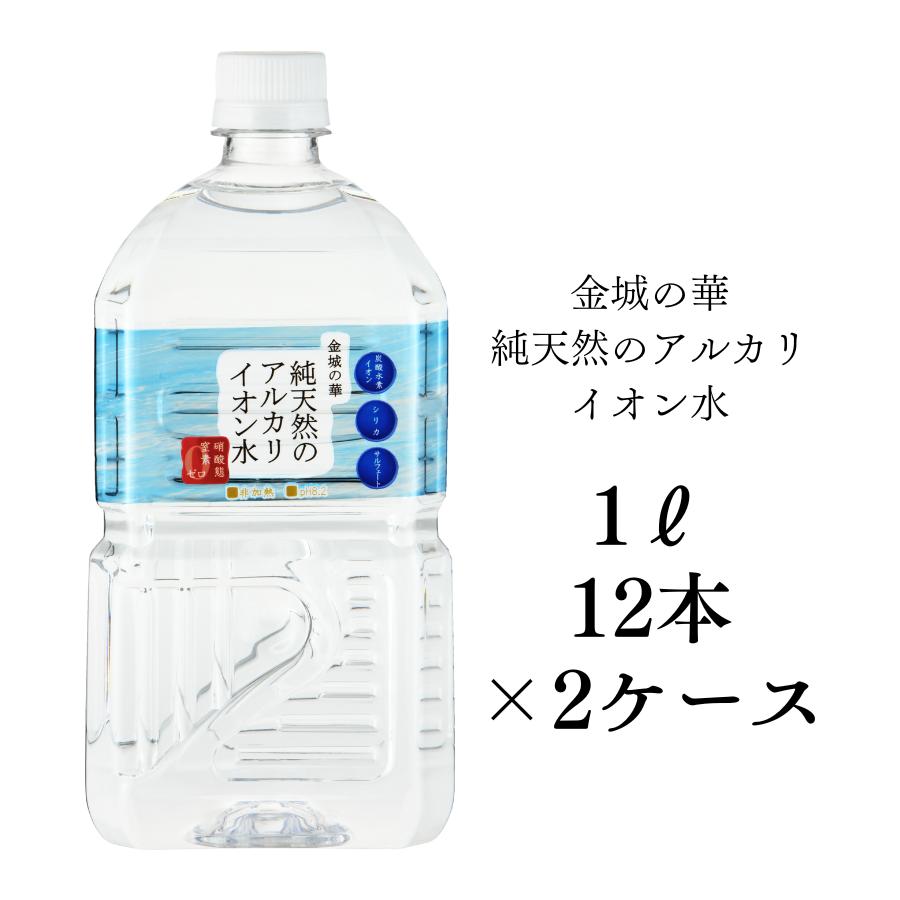 城MJ20552　送料無料　即購入可能　スピード発送　アルカリイオン水生成器 城MJ20554 送料無料 即購入可能 スピード発送 アルカリイオン水