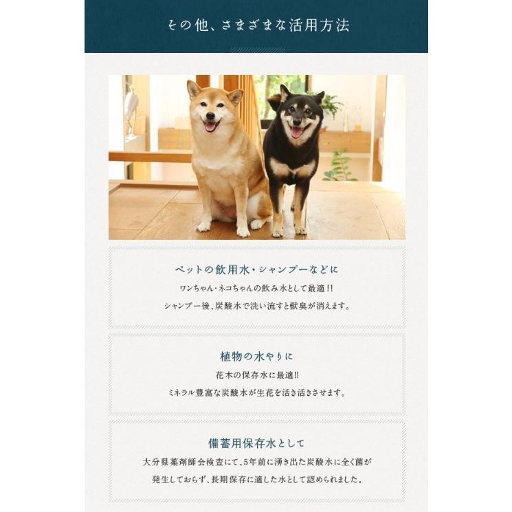 シリカ水 天然炭酸水YOIYANA 500ml×24本 水 シリカ水 美容水 硬水 ミネラルウォーター 天然水 ダイエット 微炭酸 |  | 07