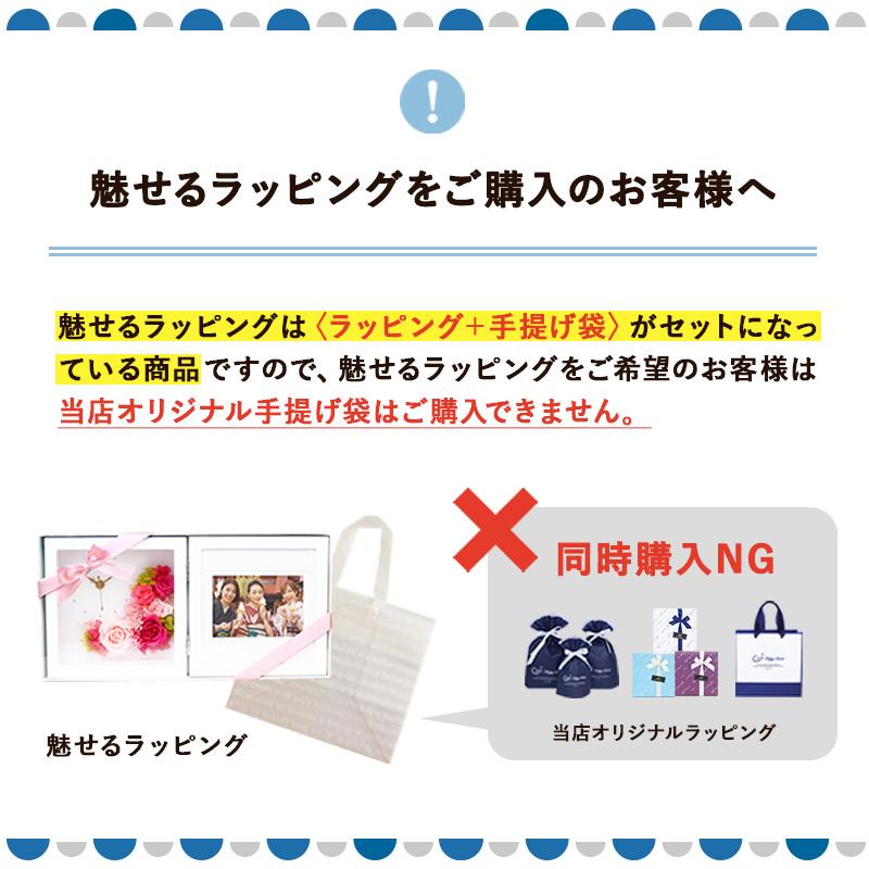 即納 大特価 シルバーフォトフレーム 寄せ書き フリーイラストタイプ 入学 卒業のお祝いに Blaccoded Com