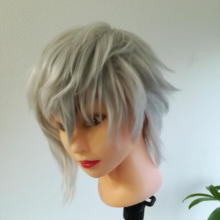 Fate Fgo カドックくん風 白銀ショート フルウィッグ キャラウィッグ シルバー Antoniodomingo Es