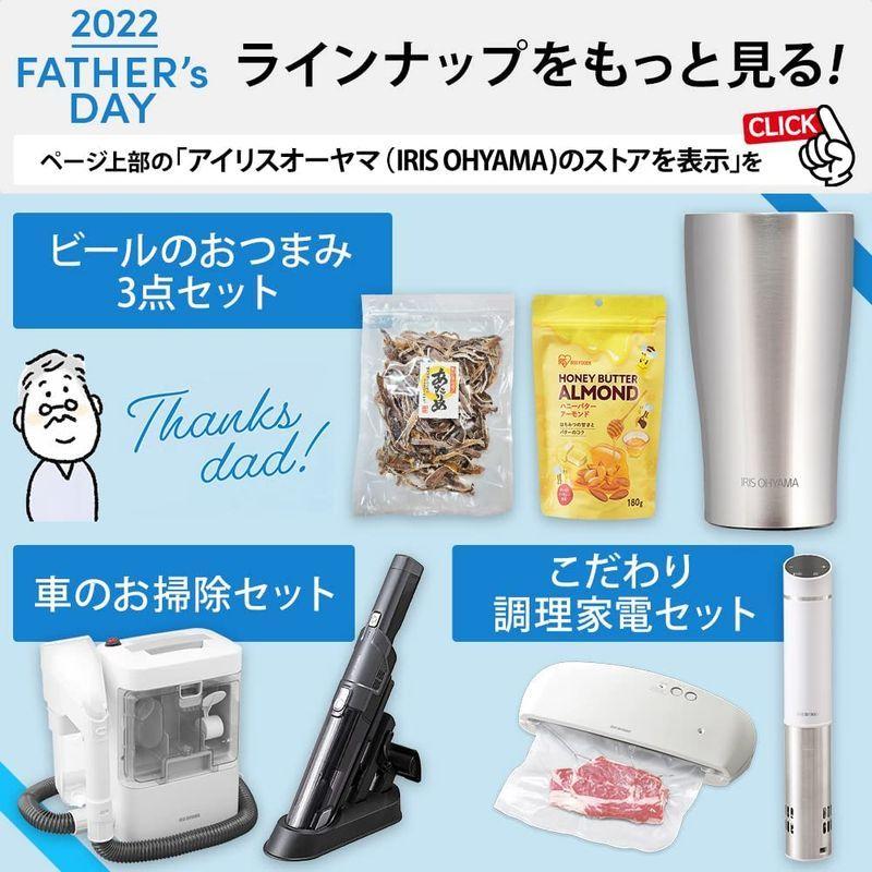 訳あり】 アイリスオーヤマ リンサークリーナー コンパクトモデル