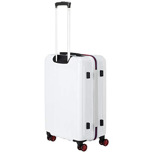 誠実 エー・エル・アイ ハードキャリー mobus×A.L.I コラボレーション