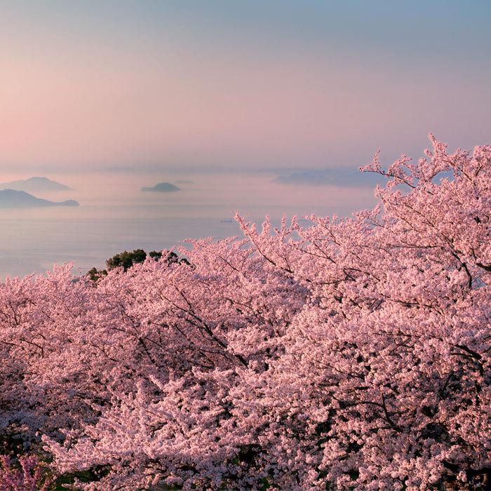 Item Shopping C Yimg Jp I N Happybath Mkouryuk2