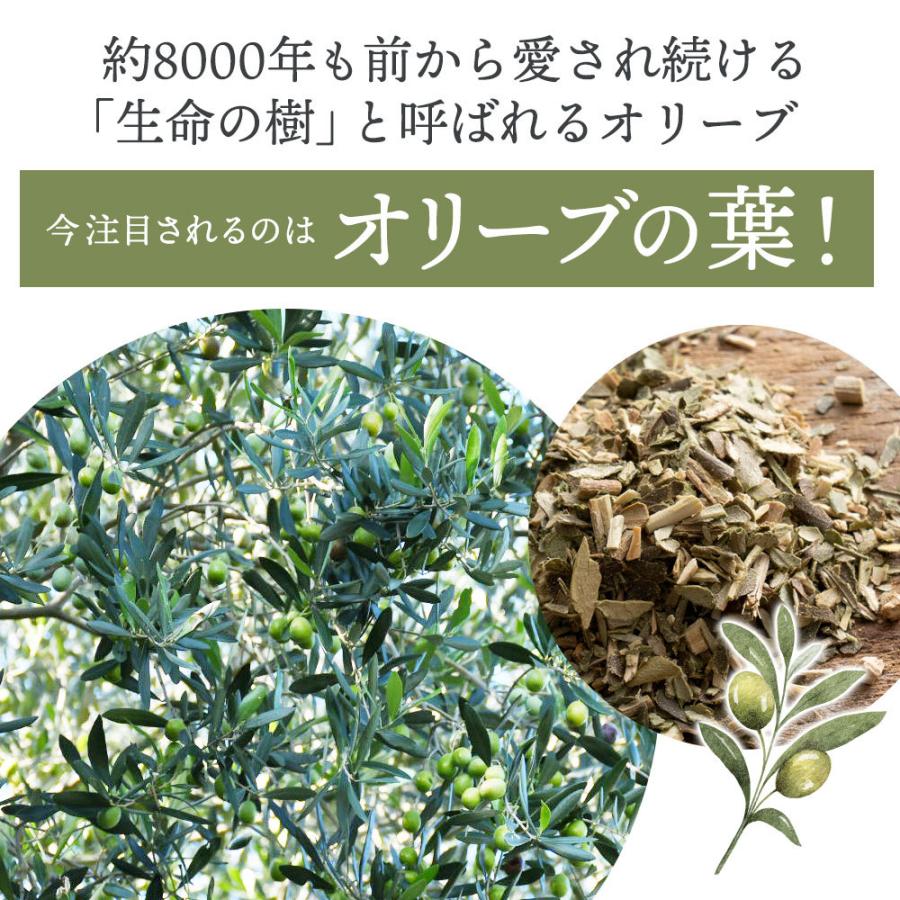 お茶 オリーブ焙茶 ほうじ茶 ティーバッグ 香川県 三豊市産 国産 オリーブの葉 ポリフェノール 豊富 三豊オリーブ Mkouryum4006 三豊市観光交流局 通販 Yahoo ショッピング