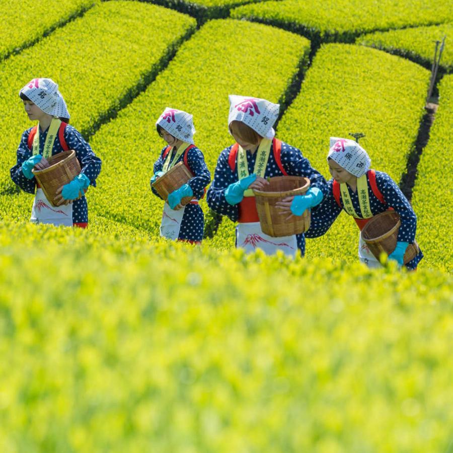 10thディーバアフターパーティ xx以下3コンセット Amazon.co.jp