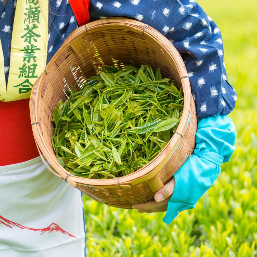 粉末緑茶 50g 無添加 茶葉 お湯で溶かすだけ 香川県 三豊市産 国産