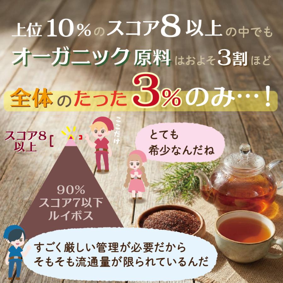 オーガニック ルイボスティー 2g×100包 ティーバッグ 送料無料 水出し