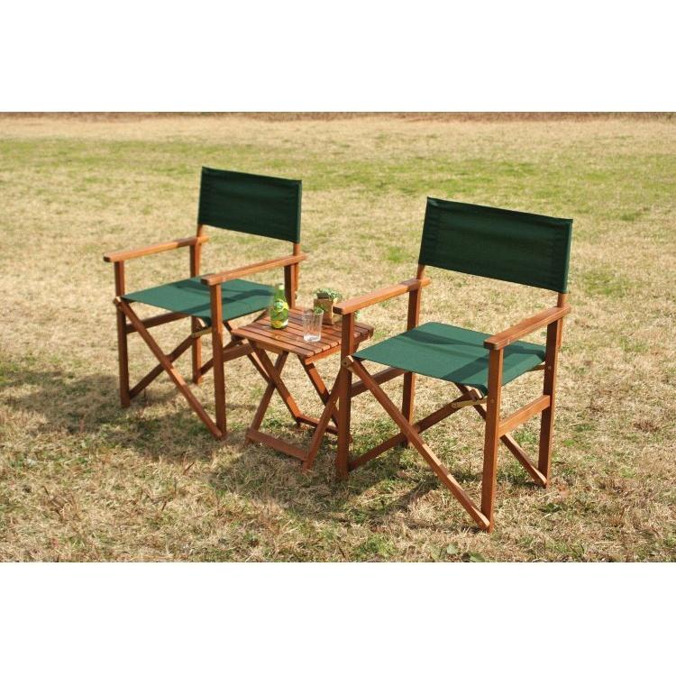 日本製 折りたたみ椅子 グリーン ディレクターチェアー 2脚セット キャンプ おしゃれ パーソナルチェア お買い得情報 タイムセールイベント 下記時間帯にセール価格で販売します Iceenergy Nl