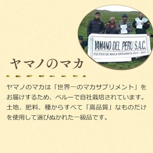 マカ サプリ 約2ヶ月分[2日分おまけ]正規代理店 マカ 妊活 サプリメント アルギニン 亜鉛 無添加 天然 マカサプリ 送料無料 メール便対応 |  | 03