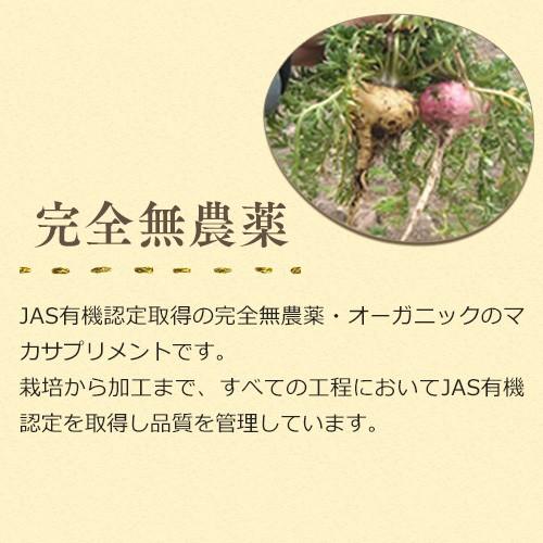 妊活 マカサプリ 約3ヶ月分【3日分おまけ】ヤマノ正規品 サプリ アルギニン 亜鉛 妊娠 サプリメント 送料無料 3袋セット |  | 02