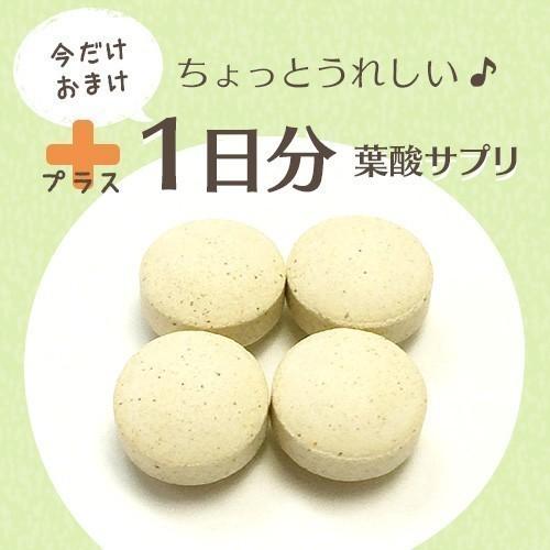 マカ ＆ 葉酸 2袋セット(各2日分増量中)妊活 サプリ 正規品 ヤマノのマカ 葉酸 サプリメント 天然 妊娠 赤ちゃん 各2ヶ月分 |  | 10