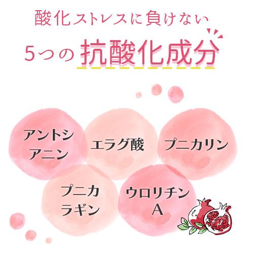 ざくろジュース 無添加 ざくろ 8倍濃縮 ザクロエキス 500ml ２本セット ザクロジュース ウロリチン エラグ酸　砂糖不使用 無香料 妊活 女性 エストロゲン |  | 03