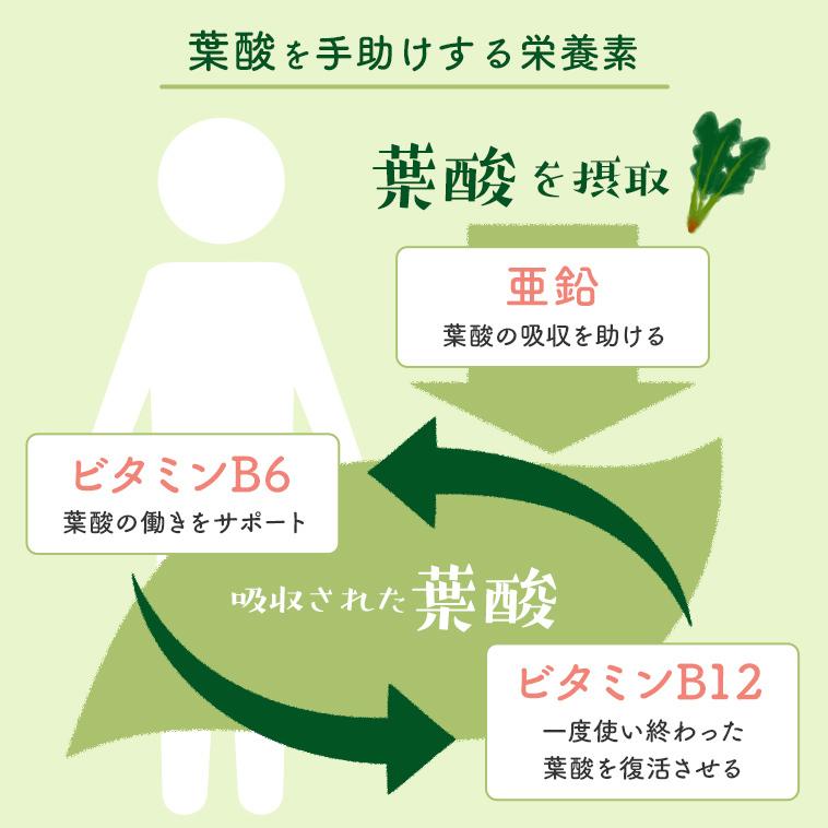 葉酸サプリ（120粒入り）お得な2袋セット 有機レモン 葉酸 サプリメント 無添加 オーガニック 約2ヶ月分 妊活 サプリ 妊娠 妊婦 鉄 カルシウム【メール便可】 |  | 07