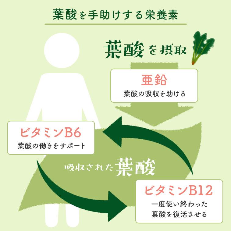 葉酸サプリ（お得な3袋セット）有機レモン 葉酸 サプリメント 無添加 オーガニック 約3ヶ月分 妊活 サプリ 妊娠 妊婦 鉄 カルシウム【メール便可】 |  | 07