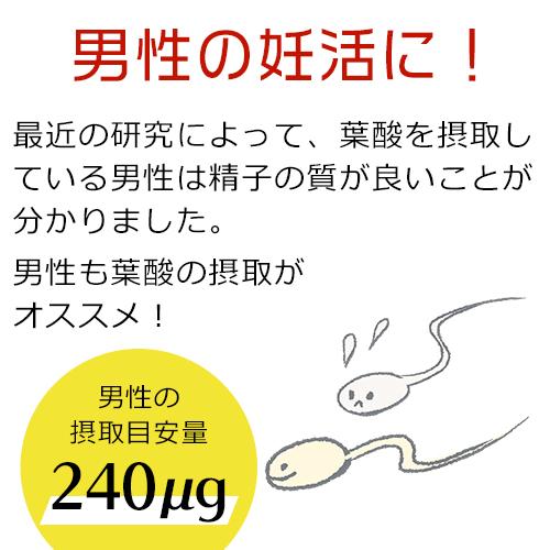 葉酸サプリ（お得な3袋セット）有機レモン 葉酸 サプリメント 無添加 オーガニック 約3ヶ月分 妊活 サプリ 妊娠 妊婦 鉄 カルシウム【メール便可】 |  | 09