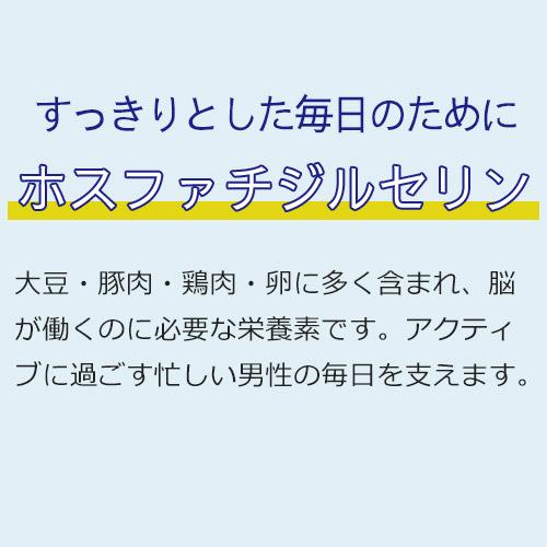 【定期購入】マカ 亜鉛 サプリメント 男性 妊活 サプリ トンカットアリ マカサプリ 葉酸 ビタミンE アルギニン ミトコンドリア 活力UP マカ＋亜鉛サプリ 1ヶ月分 |  | 11