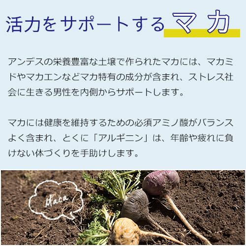 【定期購入】マカ 亜鉛 サプリメント 男性 妊活 サプリ トンカットアリ マカサプリ 葉酸 ビタミンE アルギニン ミトコンドリア 活力UP マカ＋亜鉛サプリ 1ヶ月分 |  | 05