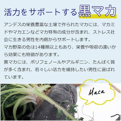 【定期購入】マカ 亜鉛 サプリメント 男性 妊活 サプリ トンカットアリ マカサプリ 葉酸 ビタミンE アルギニン ミトコンドリア 活力UP マカ＋亜鉛サプリ 1ヶ月分 |  | 05