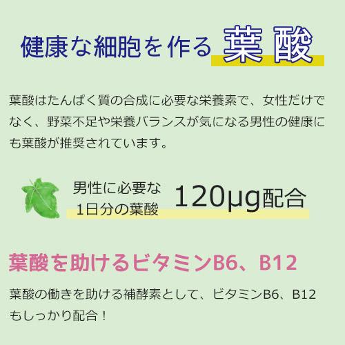 【定期購入】マカ 亜鉛 サプリメント 男性 妊活 サプリ トンカットアリ マカサプリ 葉酸 ビタミンE アルギニン ミトコンドリア 活力UP マカ＋亜鉛サプリ 1ヶ月分 |  | 09