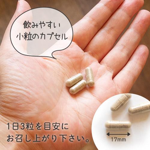 【定期購入】マカ 亜鉛 サプリメント 男性 妊活 サプリ トンカットアリ マカサプリ 葉酸 ビタミンE アルギニン ミトコンドリア 活力UP マカ＋亜鉛サプリ 3ヶ月分 |  | 12