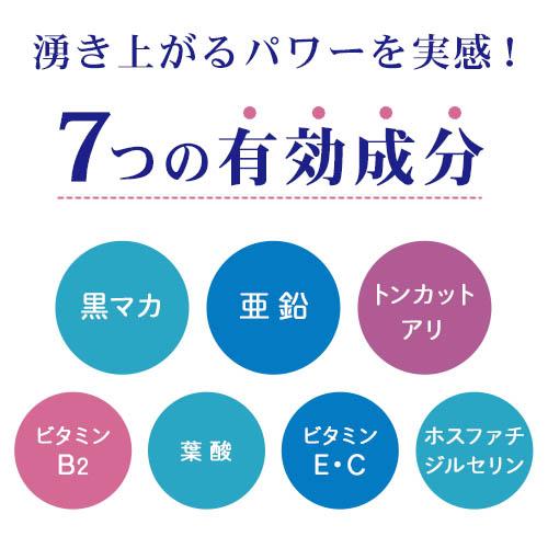【定期購入】マカ 亜鉛 サプリメント 男性 妊活 サプリ トンカットアリ マカサプリ 葉酸 ビタミンE アルギニン ミトコンドリア 活力UP マカ＋亜鉛サプリ 3ヶ月分 |  | 04