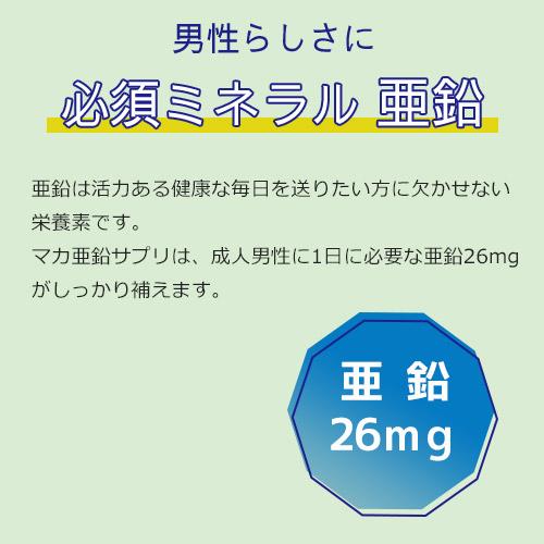 【定期購入】マカ 亜鉛 サプリメント 男性 妊活 サプリ トンカットアリ マカサプリ 葉酸 ビタミンE アルギニン ミトコンドリア 活力UP マカ＋亜鉛サプリ 3ヶ月分 |  | 06