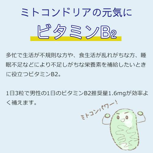 【定期購入】マカ 亜鉛 サプリメント 男性 妊活 サプリ トンカットアリ マカサプリ 葉酸 ビタミンE アルギニン ミトコンドリア 活力UP マカ＋亜鉛サプリ 3ヶ月分 |  | 08