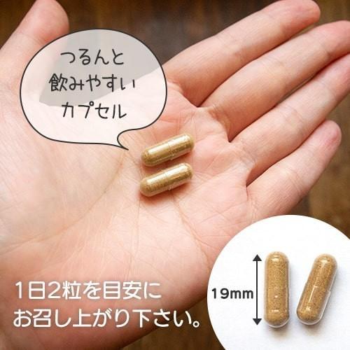 カムカムサプリ E＋D ビタミンE ビタミンD サプリ カムカム 1日分のビタミンEDCが補える 無添加 天然 ビタミンC サプリメント 妊活 3袋セット |  | 09