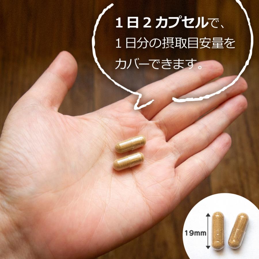 【予約販売 7月中旬ごろ入荷】カムカムサプリメントE＋D 妊活 妊娠 天然ビタミンC配合 1日分のE・D・Cが補える（3袋セット）メール便対応 |  | 09