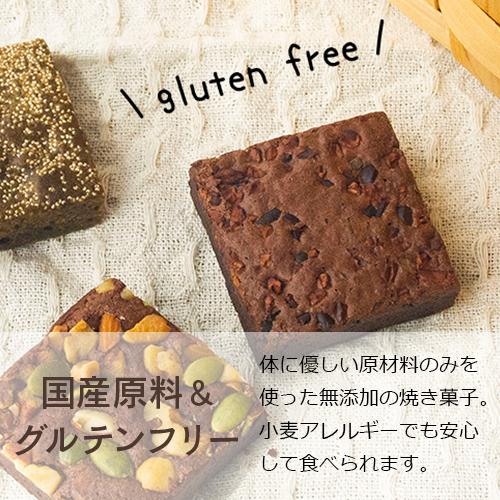 グルテンフリー 米粉のブラウニー 15個入り ブラウニー チョコレート くるみ 抹茶 無添加 アレルギー オーガニック 低カロリー 美味しい ギフト プレゼント Bw15g ハッピーブレッシング 通販 Yahoo ショッピング