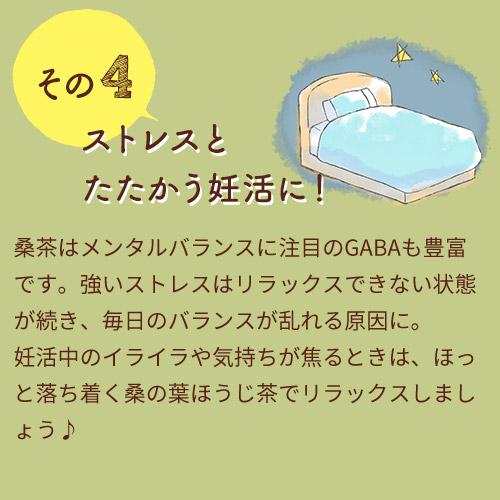 桑の葉茶 京都産 有機JAS認定(たっぷり30包入り)桑の葉ほうじ茶 桑茶 桑の葉 くわの葉 ノンカフェイン 無添加 妊活 妊婦 ティーバッグ ギフト プレゼント |  | 08