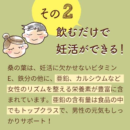 桑の葉ほうじ茶 京都産 （30包入り) 3袋セットノンカフェイン 無農薬 無添加 妊活 妊婦 ティーバッグ |  | 06