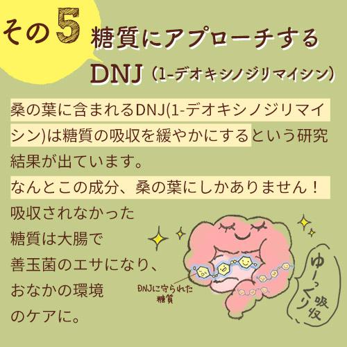 桑の葉ほうじ茶 京都産 （30包入り) 3袋セットノンカフェイン 無農薬 無添加 妊活 妊婦 ティーバッグ |  | 09