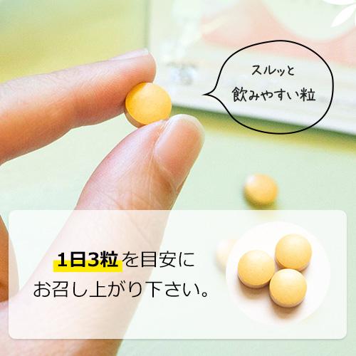 ラクトフェリンフローラ300mg 妊活 サプリメント 腸まで届く 特許製法 妊娠 ２袋セット メール便 ●定期購入対応● |  | 02
