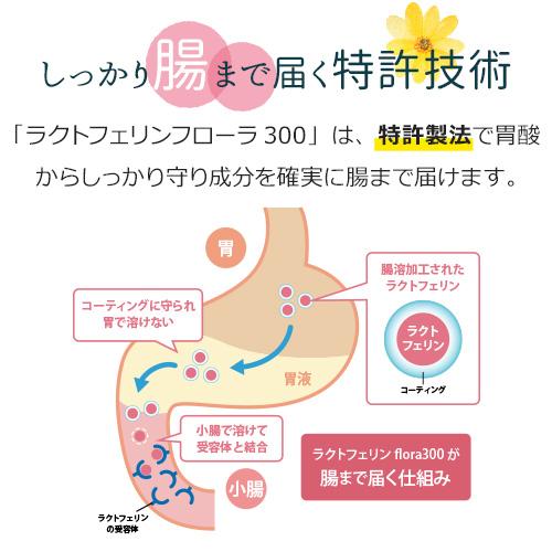 【定期購入対応】ラクトフェリン フローラ300mg（3袋セット）妊活 腸まで届く 特許製法 ラクトフェリンサプリ サプリ 腸活 腸内フローラ 妊娠【メール便対応】 |  | 04